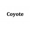 Coyote