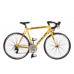 Italia 24" koers geel (STI-shifters)